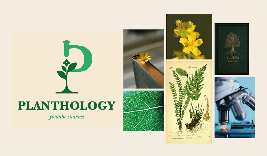 Logo Planthology Moodboard 1 1024x598