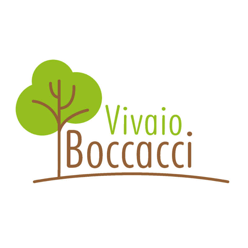 VIVAIOBOCCACCI